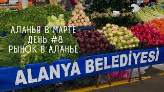 Продуктовый рынок  в центре Аланьи. Цены в марте на фрукты и овощи в Турции. День #8