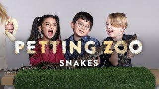 Kids Pet Snakes | HiHo Petting Zoo | HiHo Kids