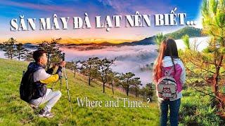 ĐÀ LẠT: Kinh Nghiệm SĂN MÂY đồi ĐA PHÚ | TRAVEL VIETNAM