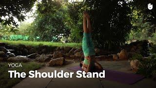 Learn the Shoulder Stand - Sarvangasana | Yoga