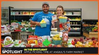 Apple Picking Time at Angiuli's Farm Market