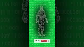 Wireframe Human in a Binary Code Matrix: Dynamic Green Screen Clip