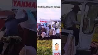 Combine Ramping Makin Lincah #shorts #shortvideo #combine #combineharvester #kombi #viral