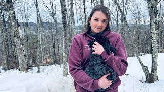 Raising Meat Rabbits in Below Freezing Temperatures!