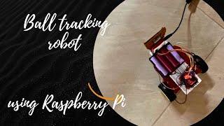 Empowering Robot Vision with a Raspberry Pi-based system for Real-Time Ball Tracking system