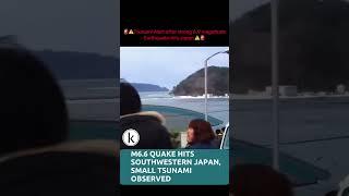 M6.6 quake hits southwestern Japan, small tsunami observed