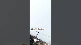 kite 🪁 Flaying Happy lohri #technicalvishal07 #happylohri2023