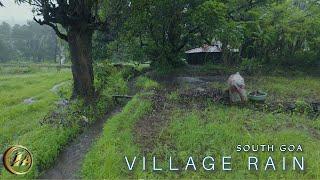 Rain Walk though Silent Forest Village in South Goa | Monsoon Rain and Indian Village life | ASMR