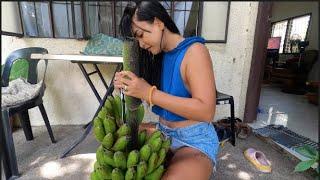 HARVESTING MY Banana