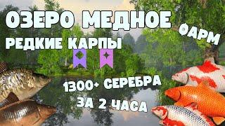 ФАРМ МЕДНОЕ ОЗЕРО | РУССКАЯ РЫБАЛКА 4 | РР4