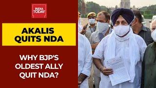 Why BJP's Oldest Ally Shiromani Akali Dal Decided To Walk Out Of NDA?