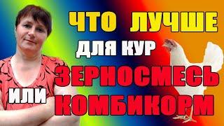 Что лучше для кур ЗЕРНОСМЕСЬ или КОМБИКОРМ.