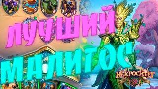 ЛУЧШИЙ МАЛИГОС ДРУИД! Hearthstone Некроситет