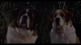 beethoven 2nd (1993) - beethoven and missy's date night