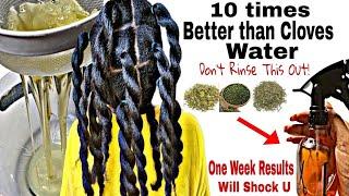 Don't Rinse This out!your hair will grow like crazy with Rosemary,Fenugreek n Aloe Vera|Grow Hair