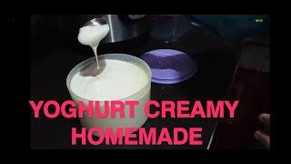 Yoghurt creamy homemade| cara melipatgandakan yoghurt