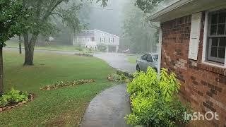 It's Raining. So happy and the plants really needed this. GA/zone 8a