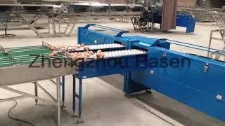 egg sorting machine from Sally 0086-15937125109