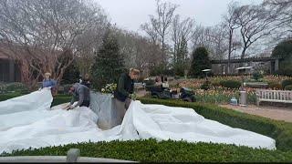 Atlanta Botanical Gardens prepares for cold blast