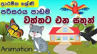 Wattata Ena Sathun |Parisaraya| Grade 1,2,3 ශ්‍රේණි|වත්තට එන සතුන්| පරිසරය පාඩම|