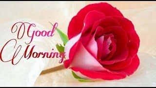 Latest Good Morning wishes, SMS, greetings, Whatsapp Video message