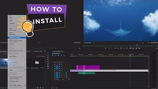 How to install and use our +500 Transitions for Premiere Pro | Vamify