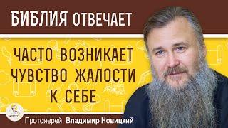 ЧАСТО ВОЗНИКАЕТ ЧУВСТВО ЖАЛОСТИ К СЕБЕ.  Протоиерей Владимир Новицкий