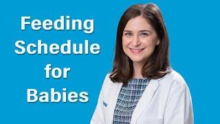 What is the recommended feeding schedule for babies?