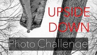 Photography Challenge | Upside Down Composition