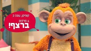 6 פרקים ברצף של קופיקו!!!!