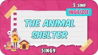The Animal Shelter  tonguçCUP 4.Sezon - 5ING9 #2024
