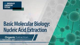 Basic Molecular Biology: Nucleic Acid Extraction – Organic Extraction