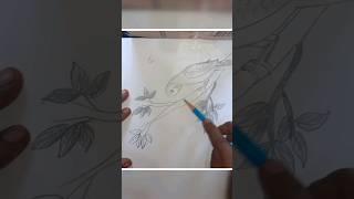 Draw a parrot| #lalitaart #drawing #sketch #shorts #subscribe #ytshorts