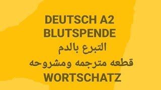 الالمانيه500(DEUTSCH A2 BLUTSPENDE التبرع بالدم قطعه مترجمه ومشروحه WORTSCHATZ ) Learn German