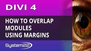 Divi 4 How To Overlap Modules Using Margins