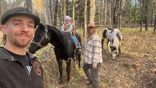 We got Horses! And some work done on the house