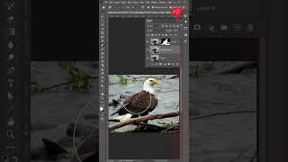 How to blur background in photoshop  #photoshop #tutorial #photoshoptutorial