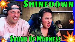 Shinedown - Sound Of Madness (Official Video) THE WOLF HUNTERZ REACTIONS