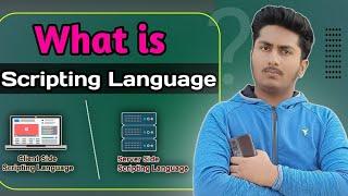 What is Scripting Language ? What is Client Side and Server Side Scripting language?