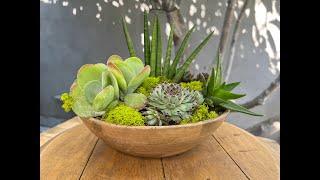 How To Make A Succulent Arrangement In A Salad Bowl!