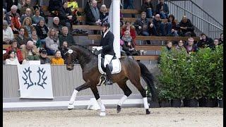 Impressionen der Trakehner Hengstschau 2024 (Teil 1)