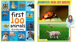 FIRST 100 ANIMALS | First 100 Words for Baby Book by Priddy | Animal Names for Toddlers and Kids