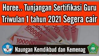 Kabar gembira tunjangan sertifikasi guru triwulan 1 tahun 2021 segera cair