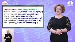 4-класс | Русский язык  |  Сопоставление окончаний имён прилагательных в женском  и среднем роде