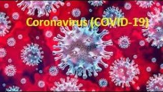 Coronavirus 2019 ncov (COVID-19)