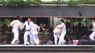 Taekwondo Demonstration 12 : Break