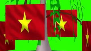 Green Screen vietnam flag Animated Video Effects | Vietnam flag Blue Sreen Free Footage No 2