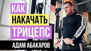 Адам Абакаров: Как накачать трицепс. Упражнения на трицепс. Как накачать руки