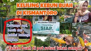 Berkunjung ke BALADEWA GARDEN Kebun Tabulampot  Terlengkap di WONOGIRI