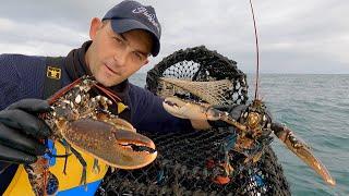 Hauling of The FishLocker Lobster Pots 2024 | The Fish Locker